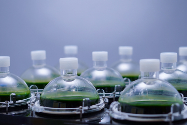 德国CellDEG微藻高密度培养仪/实验室光生物反应器