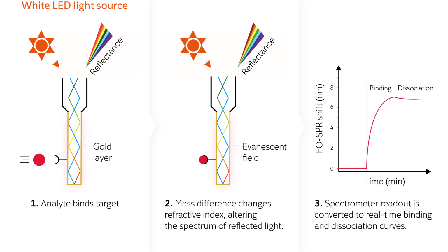 FOxBiosystems_FO_SPR-2-1536x864.png