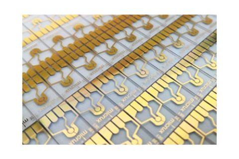 Micrux 微电极/电化学传感器