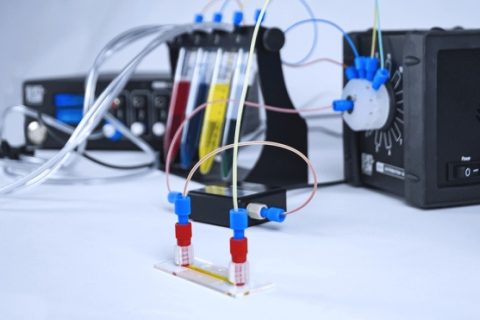Elveflow microfluidic system for dynamic cell culture