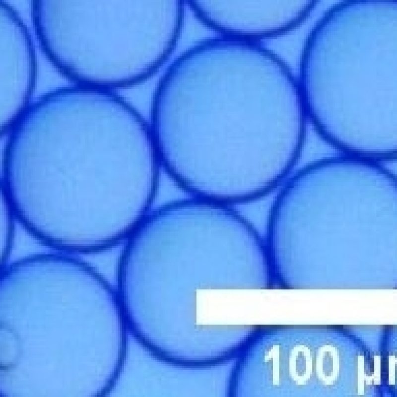 Elveflow single-cell encapsulated microfluidic systems