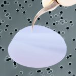 it4ip 核孔膜在TCT 筛查中的应用
