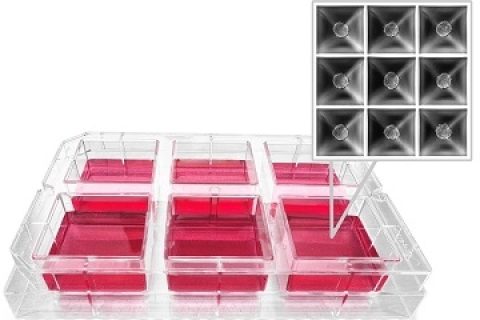 Sphericalplate 5D 高通量3D 细胞培养板/类器官培养