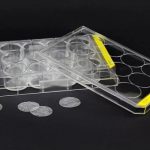 Viscofan 用于细胞培养的胶原蛋白载体膜