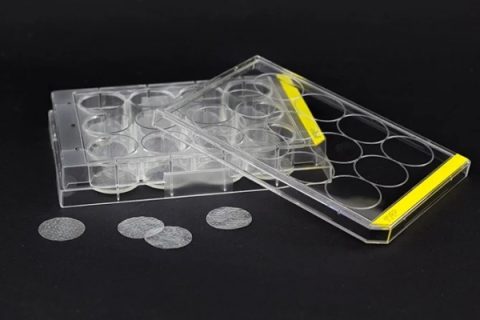 Viscofan 用于细胞培养的胶原蛋白载体膜