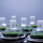 德国CellDEG微藻高密度培养仪/实验室光生物反应器