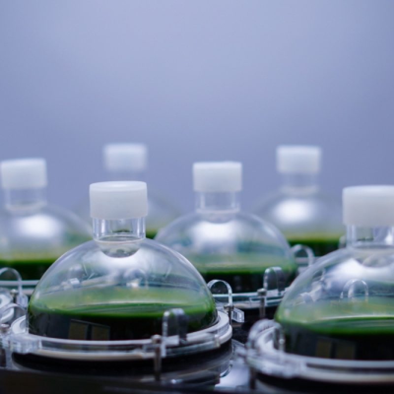 德国CellDEG微藻高密度培养仪/实验室光生物反应器